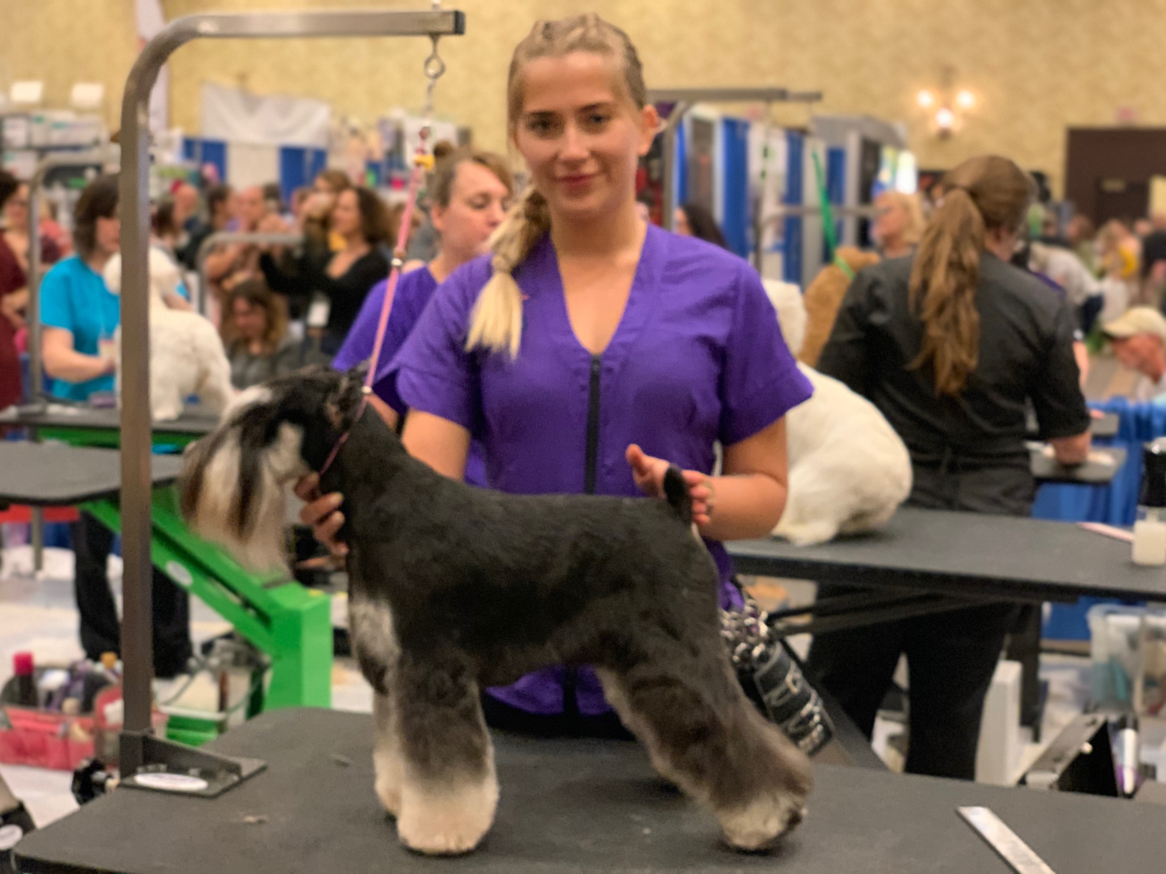 Dog Spot groomer competing at a national grooming competition